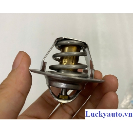 Van hằng nhiệt xe Volkswagen New Beetle_ 050121113C 